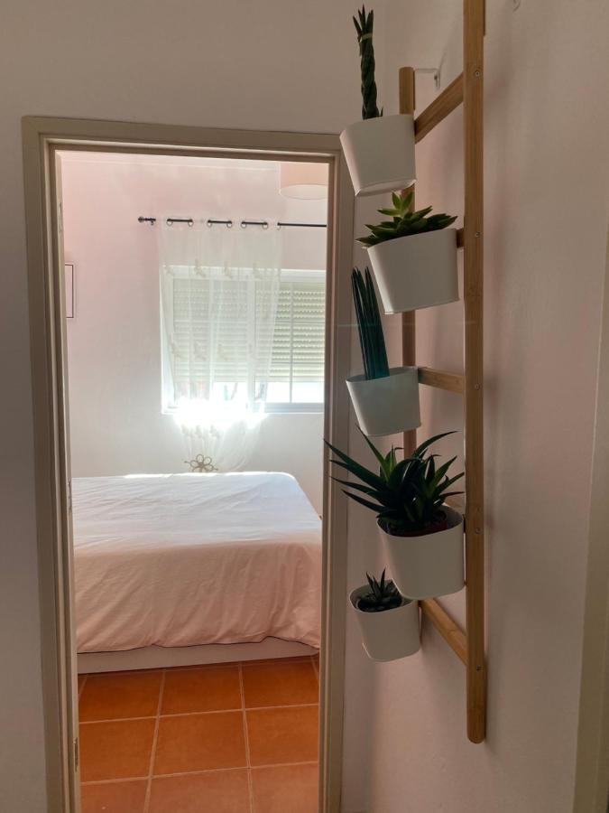 Apartamento Vicentino วิลานอวา ดิ มิลฟงติส ภายนอก รูปภาพ
