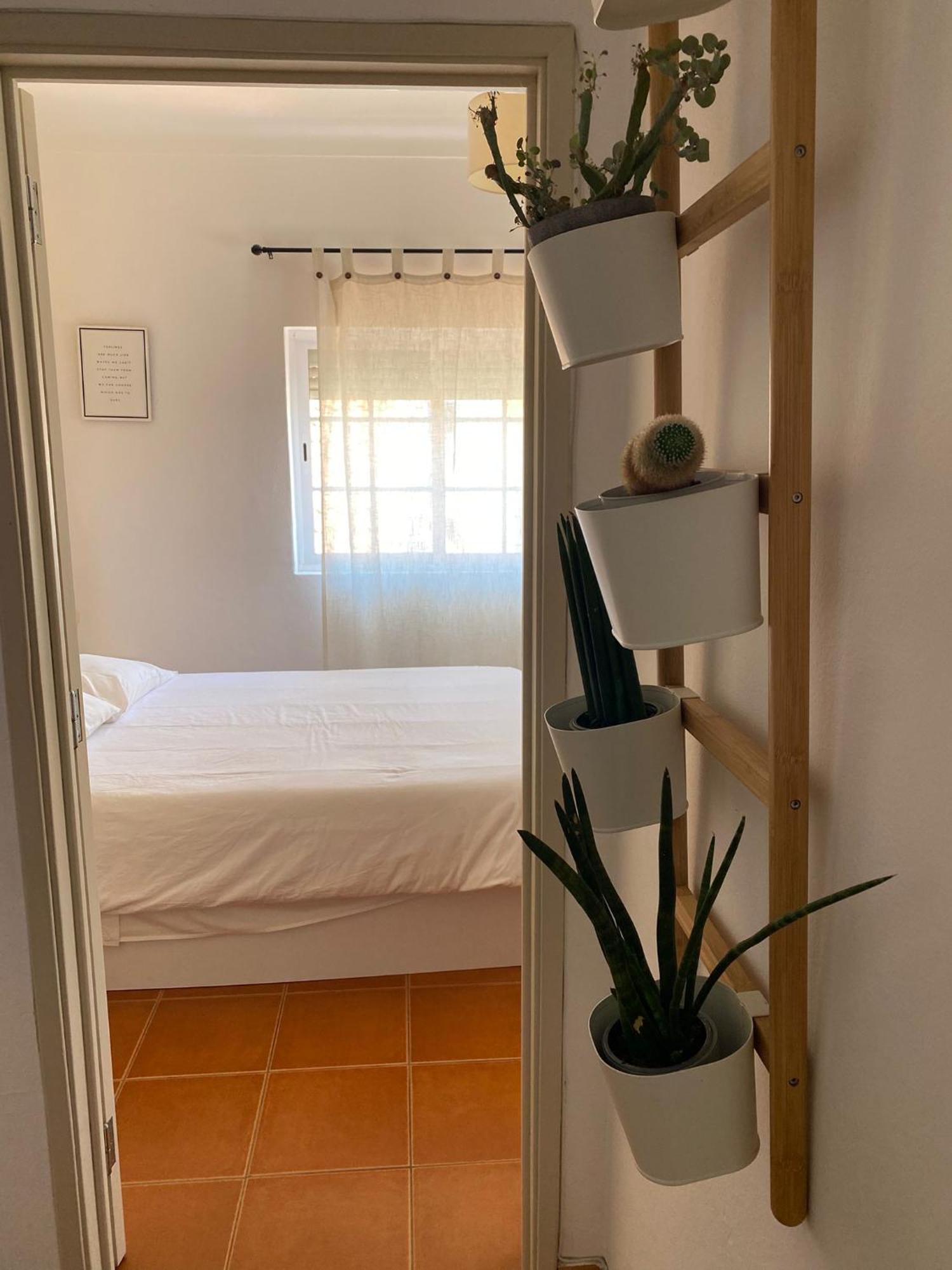 Apartamento Vicentino วิลานอวา ดิ มิลฟงติส ภายนอก รูปภาพ