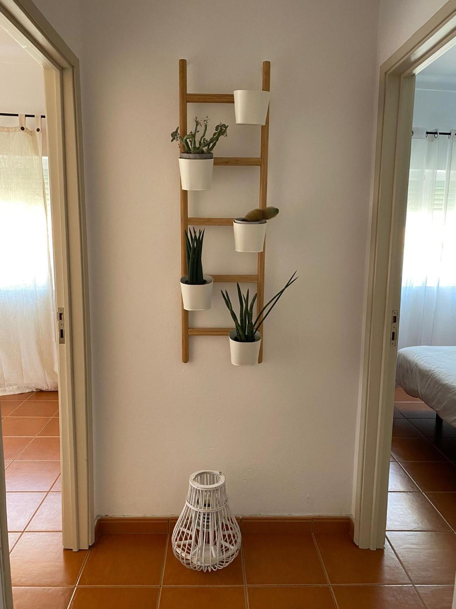 Apartamento Vicentino วิลานอวา ดิ มิลฟงติส ภายนอก รูปภาพ